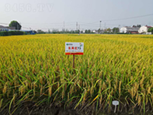 �L(zh��ng)�Ƀ�(y��u)73-ˮ���N��-�S��(l��)�N�I(y��)