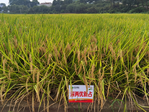 ��Ƀ�(y��u)��ռ-ˮ���N��-�S��(l��)�N�I(y��)