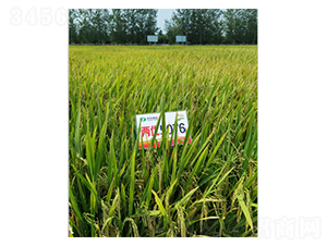 �Ƀ�(y��u)5076-ˮ���N��-�S��(l��)�N�I(y��)