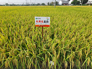 �L(zh��ng)�Ƀ�(y��u)���-ˮ���N��-�S��(l��)�N�I(y��)