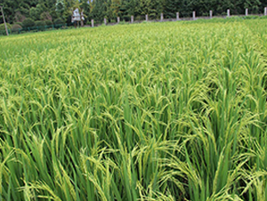 ����(y��u)670-ˮ���N��-�S��(l��)�N�I(y��)