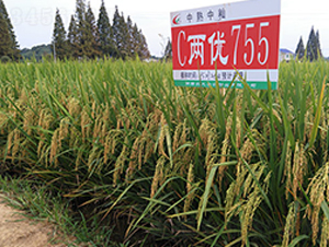 C�Ƀ�(y��u)755-ˮ���N��-�S���N�I(y��)