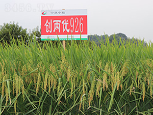 ��(chu��ng)�Ƀ�(y��u)926-ˮ���N��-�S���N�I(y��)