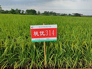 �҃�(y��u)314-ˮ���N��-�S���N�I(y��)