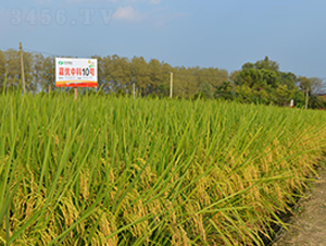 �΃�(y��u)�п�10̖-ˮ���N��-�S���N�I(y��)