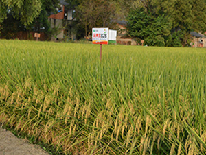 ��Ƀ�(y��u)828-ˮ���N��-�S���N�I(y��)