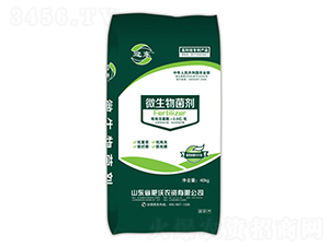 2�|΢�������-ӭ�|-�����r(n��ng)�Y