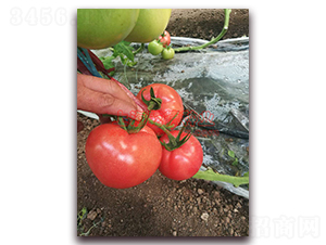 Ǭ��1625-���ѷN��-Ǭ�·N�I(y��)