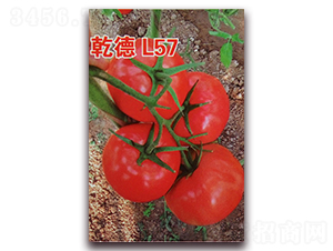 Ǭ��L57-��t���ѷN��-Ǭ�·N�I(y��)