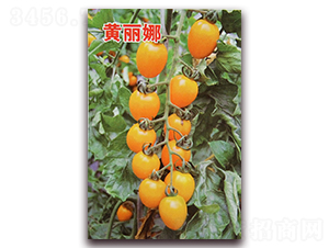 Ǭ���S����-���ѷN��-Ǭ�·N�I(y��)