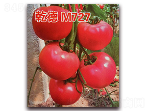 Ǭ��M727-���ѷN��-Ǭ�·N�I(y��)