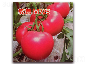 Ǭ��M725-���ѷN��-Ǭ�·N�I(y��)