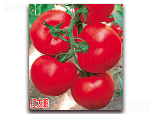 �t̫�-��t���ѷN��-Ǭ�·N�I(y��)