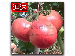 Ǭ�µ��_-�۹����ѷN��-Ǭ�·N�I(y��)