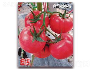 Ǭ�µ��Z-�۹����ѷN��-Ǭ�·N�I(y��)