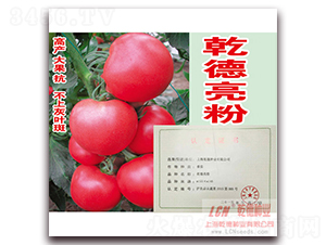 Ǭ������-�۹����ѷN��-Ǭ�·N�I(y��)