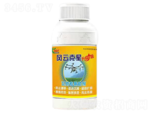 �w����(zhu��n)������-�L(f��ng)�ƿ���-���ص���