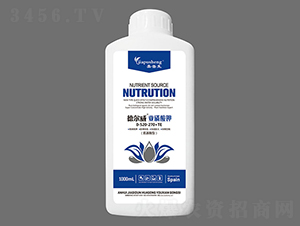 � ����������-��˼�D