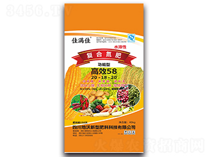 �����͏�(f��)�ϵ���-�ѝM��-�ʢ�Ƽ�