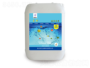 ����-����-�������