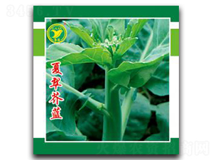 �Ĵ���{(l��n)-���{(l��n)�N��-���r(n��ng)