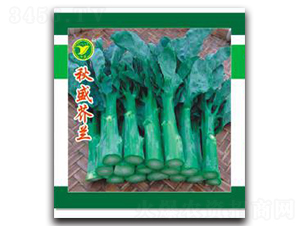 ��ʢ���{(l��n)-���{(l��n)�N��-���r(n��ng)