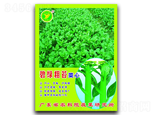 �̾G��̦-���ķN��-���r(n��ng)