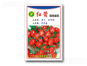 �t�����ҷ���-���ѷN��-���r(n��ng)