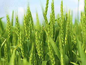 δ��0818-С���N��-δ���N�I(y��)