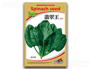 �����-���˷N��-�β���