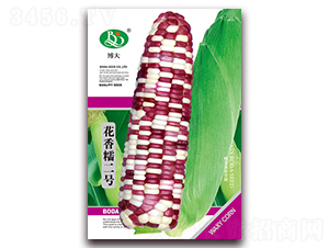 ����Ŵ��̖-��Ŵ���׷N��-�β���