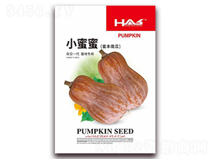 С����-�ϹϷN��-�β���