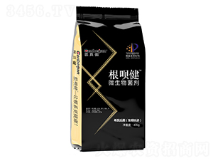 ΢��������w��-���h��-��ؐ��