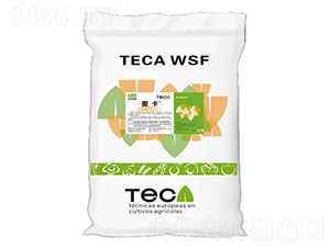 ����⛣��w����-�D��-ͬ������