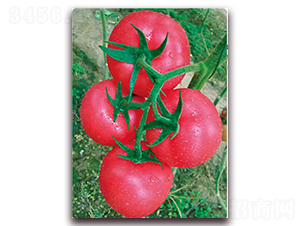 ����108-������ѷN��-���S��