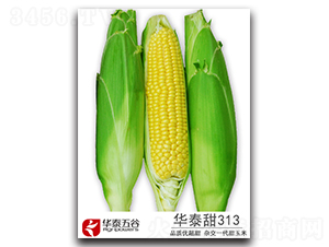 �A̩��313-�����׷N��-�A̩���