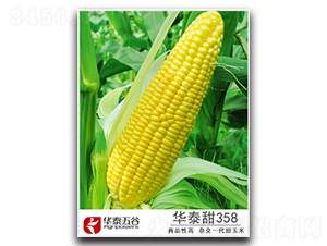 �A̩��358-�����׷N��-�A̩���