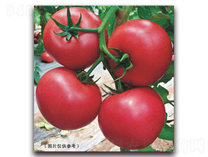 ����12-2-���ѷN��-���i