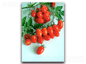 ������Ů-���ҷ��ѷN��-���i