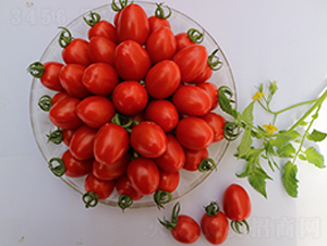 ����44̖(h��o)-���ҷ��ѷN��-���i