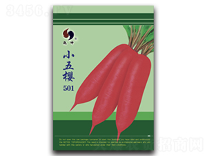 С���501-�}���N��-Ǭ���N�I(y��)