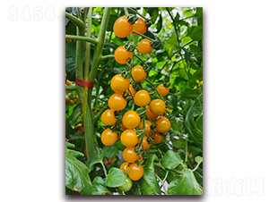 ����С�ʹ�58-���ҷ��ѷN��-���i