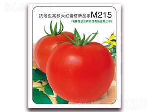 ����M215-��t���ѷN��-���i