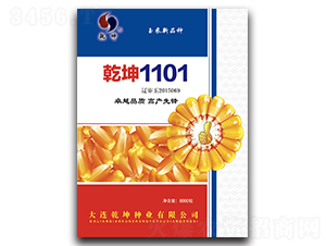 Ǭ��1101-���׷N��-Ǭ���N�I(y��)