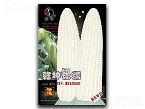 Ǭ���yŴ-���׷N��-Ǭ���N�I(y��)