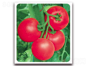 ����1605-�ۼt���ѷN��-���i