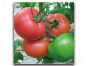 ����11-21-�ۼt���ѷN��-���i