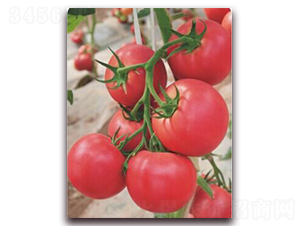 ����218-���ѷN��-���i