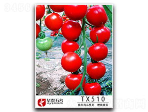 ���ҷ���TM510-���ѷN��-�A̩���