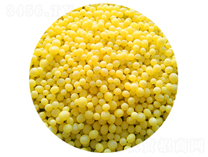 �����w����-������